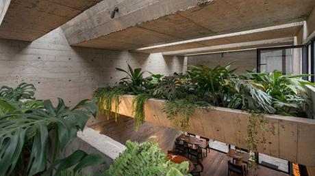 Un restaurant niché dans une cathédrale de béton végétalisée Un restaurant niché dans une cathédrale de béton végétalisée