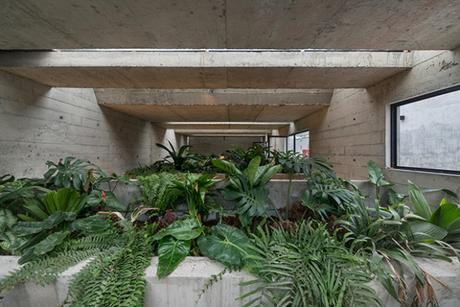 Un restaurant niché dans une cathédrale de béton végétalisée Un restaurant niché dans une cathédrale de béton végétalisée