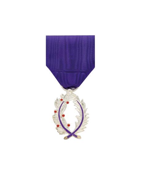 Médaille Chevalier de l'Ordre National des Palmes Académiques Bronze