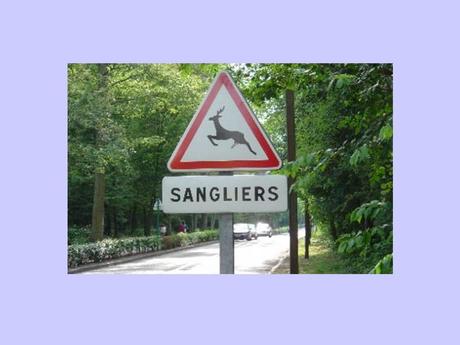 Divers - Les panneaux insolites