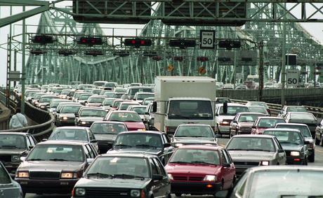 Se Rebeller Contre la 6ème Extinction