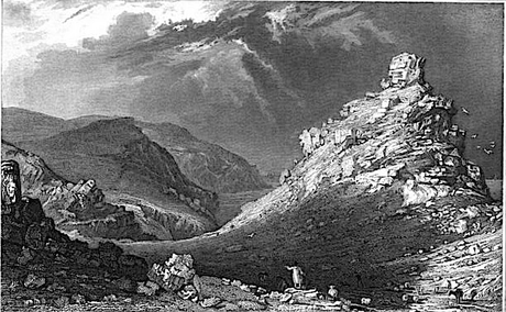 Se Rebeller Contre la 6ème Extinction