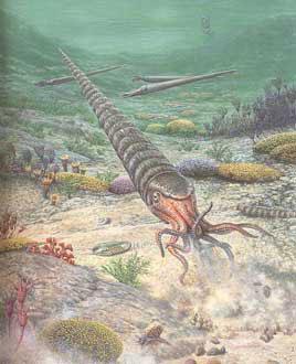 Se Rebeller Contre la 6ème Extinction