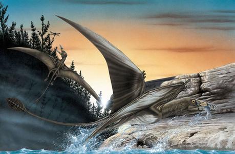 Se Rebeller Contre la 6ème Extinction