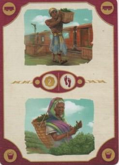 Test de Ceylan, récoltez le thé de Funnyfox