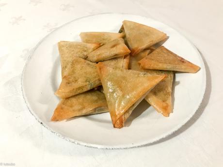 Petit triangle voyageur – Samosas aux poireaux