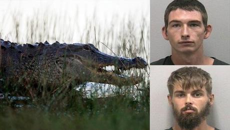 Info bière – Pour le plaisir, ils obligent un alligator à boire de la bière et à se faire piquer

 – Houblon