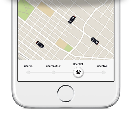 Uber lance Uber Pet, pour voyager avec son animal de compagnie