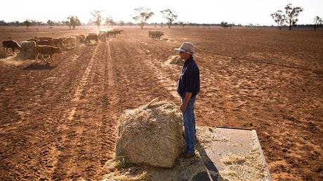 Bière artisanale – Collecte de fonds Let It Pour Farmers: Great Beer Don …
 – Bière