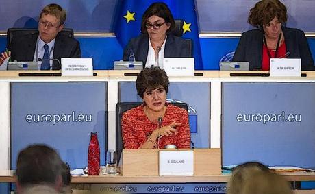 Sylvie Goulard et la démocratie européenne Sylvie Goulard et la démocratie européenne