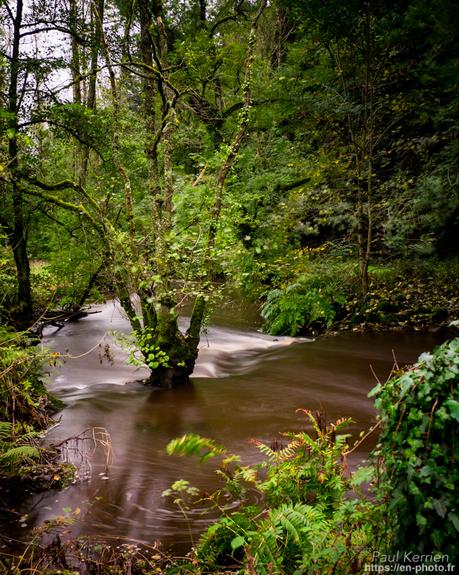 aube à Beg-Meil #Fouesnant #Bretagne #Finistère #MadeInBzh