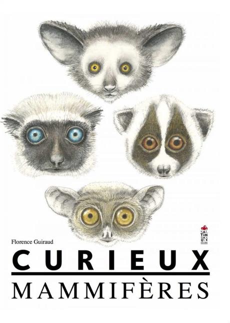 Curieux Mammifères de Florence Guiraud