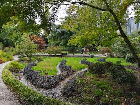 Comment le regard tourangeau interprète le rêve d’un jardin japonais, Visite du jardin japonais au coeur du Jardin botanique de Tours