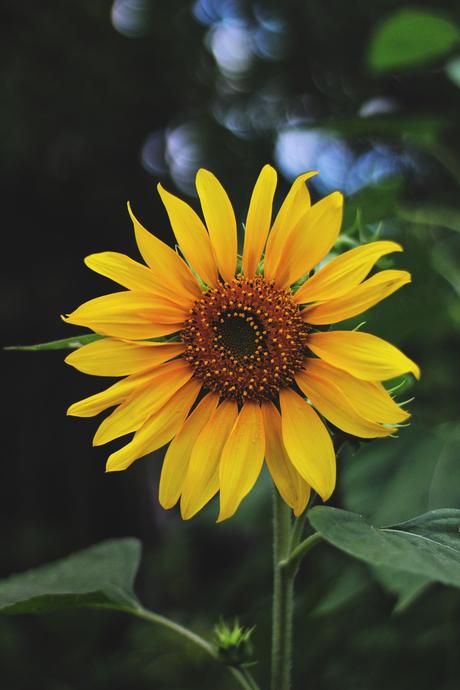 Comment se ressourcer sans faire des kilomètres ?