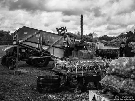 balade sur la rive du Steir #Bretagne #Finistère #MadeInBzh