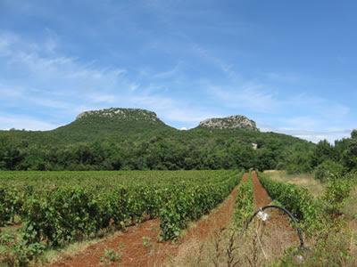 Entre deux dents de rocher