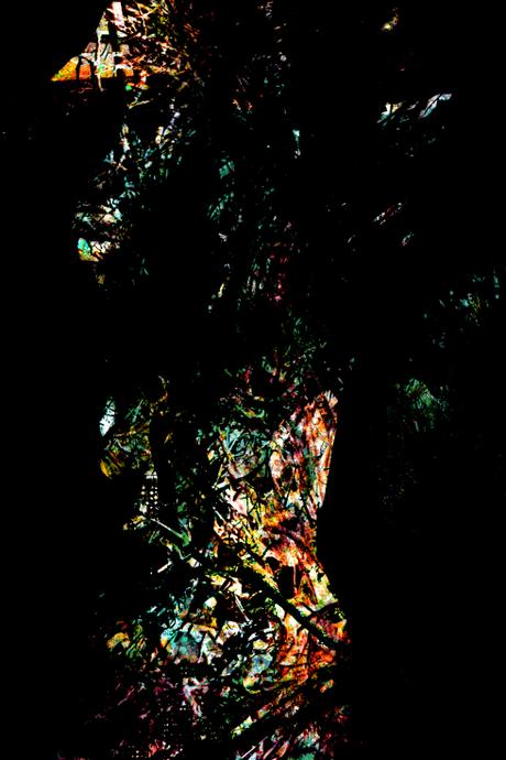 VARIATIONS PHOTOGRAPHIQUES POUR DES AMAZONES VARIATIONS PHOTOGRAPHIQUES POUR DES AMAZONES