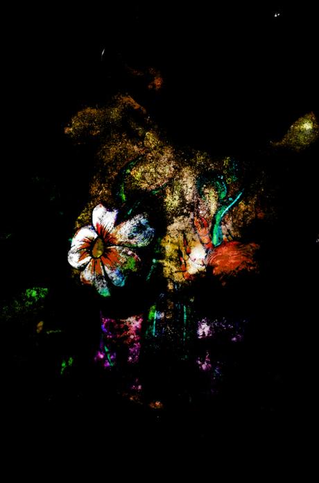 VARIATIONS PHOTOGRAPHIQUES POUR DES AMAZONES VARIATIONS PHOTOGRAPHIQUES POUR DES AMAZONES