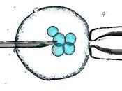 Bioéthique 2019 adoption projet loi, PMA, filiation, gamètes, transhumanisme, embryons…