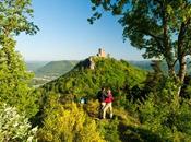 L’Allemagne romantique châteaux vins