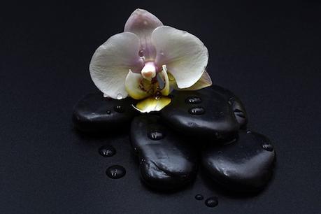 Critique livre – Fleurs de sang : un polar au parfum d’Orchidée