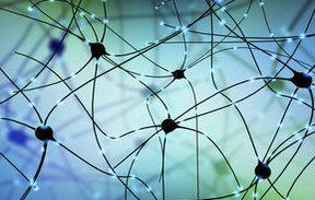 #thelancetneurology #parkinson #terazosin #glycolyse La glycolyse comme cible thérapeutique dans la maladie de Parkinson