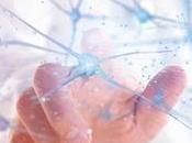 TROUBLES MÉTABOLIQUES ALZHEIMER l’on changeait d’optique