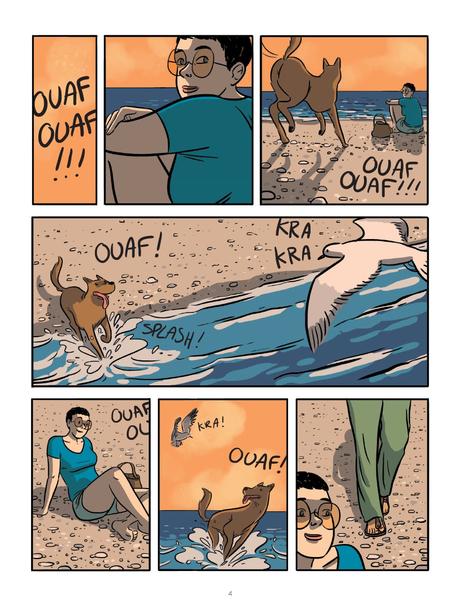 Les reflets changeants