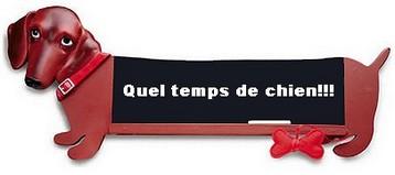 Collection de Teckels