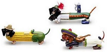 Collection de Teckels