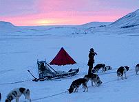 Azeva ou le plaisir de l'aventure