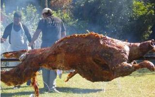 Succès garanti petit prix grillade domicile