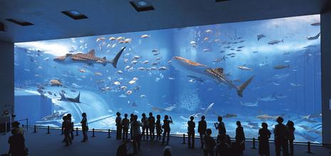 L’aquarium Chiraumi d’Okinawa