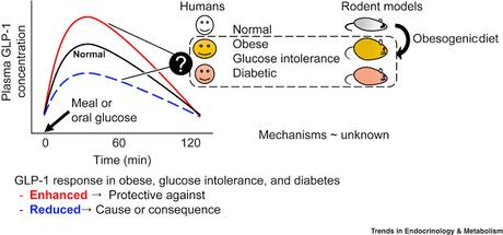 #trendsinendocrinolgyandmetabolism #GLP-1 #obésité Quel Est Réellement le Rapport Entre GLP-1 et Obésité ?