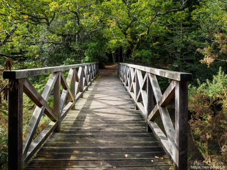balade sur la rive de L'#Odet à #Gouesnach #Bretagne #Finistère #MadeInBzh