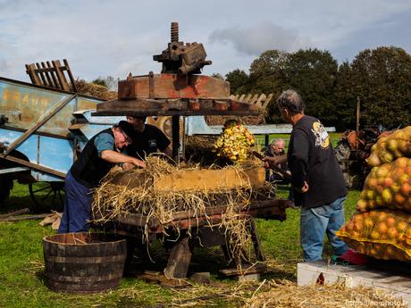 balade sur la rive de L'#Odet à #Gouesnach #Bretagne #Finistère #MadeInBzh