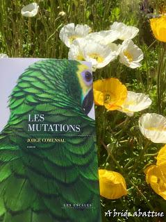 Les mutations de Jorge Comensal aux Escales