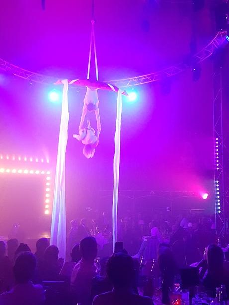 Dîner-spectacle du cirque Imagine à Lyon – mon avis !