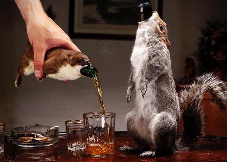 La fin de l'histoire