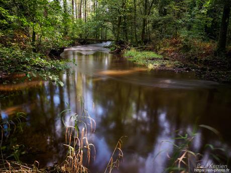 balade sur la rive de L'#Odet à #Gouesnach #Bretagne #Finistère #MadeInBzh