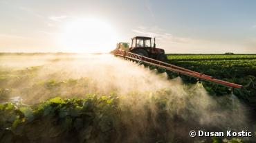 Pesticides : la justice ne veut pas que les Maires puissent interdire les épandages près des habitations !
