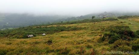 Parc National du Dartmoor
