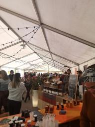 musik-xerpils-festival-xertigny5 