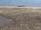 minute trente marée montante