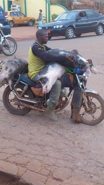 Divers - Système D…..