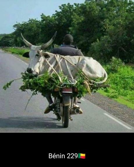 Divers - Système D…..