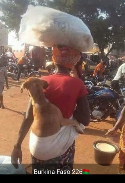 Divers - Système D…..