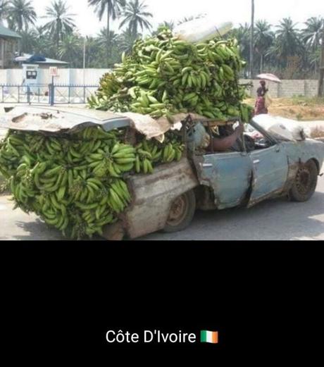 Divers - Système D…..