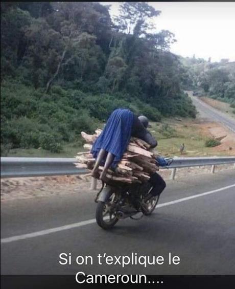 Divers - Système D…..