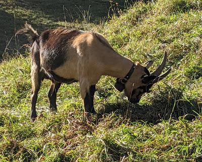 Indian Summer in Mittenwald - Automne doré à Mittenwald
